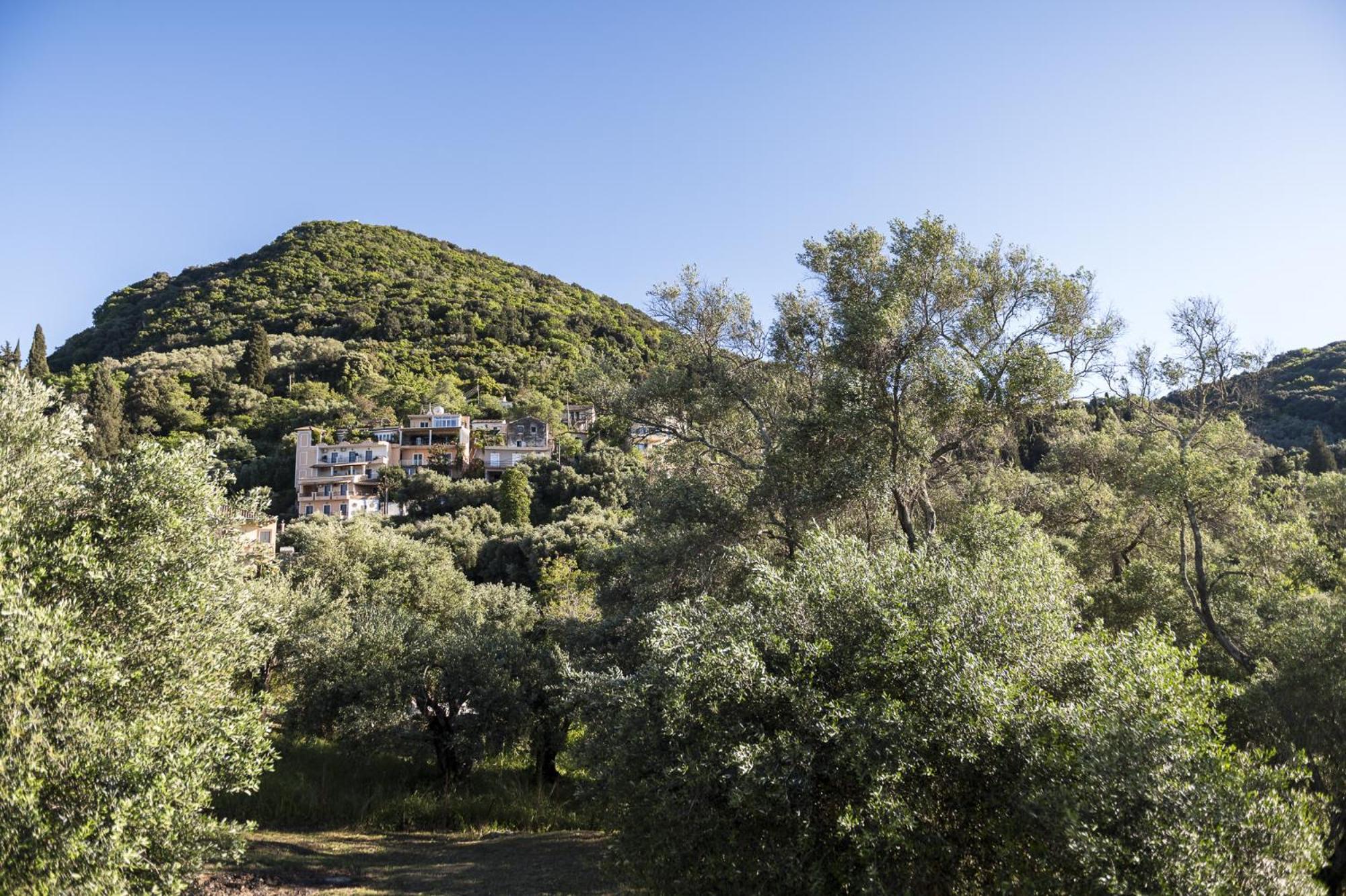 מסונגי Conte Marco Cottage מראה חיצוני תמונה